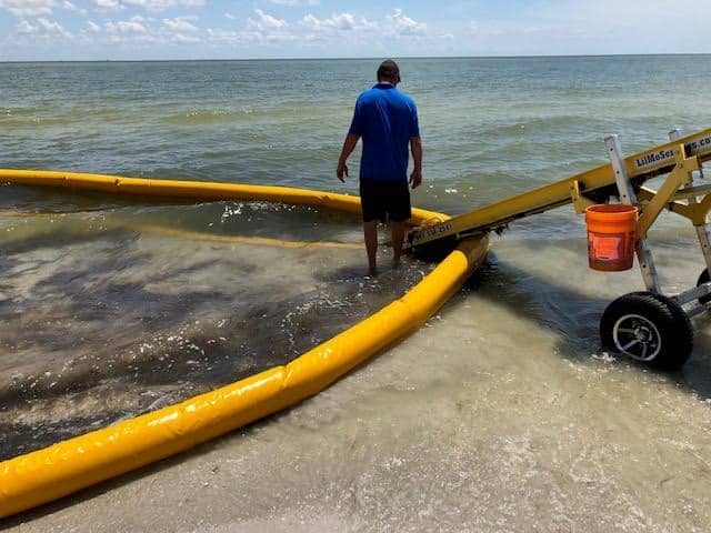 Red Drift Sanibel 1
