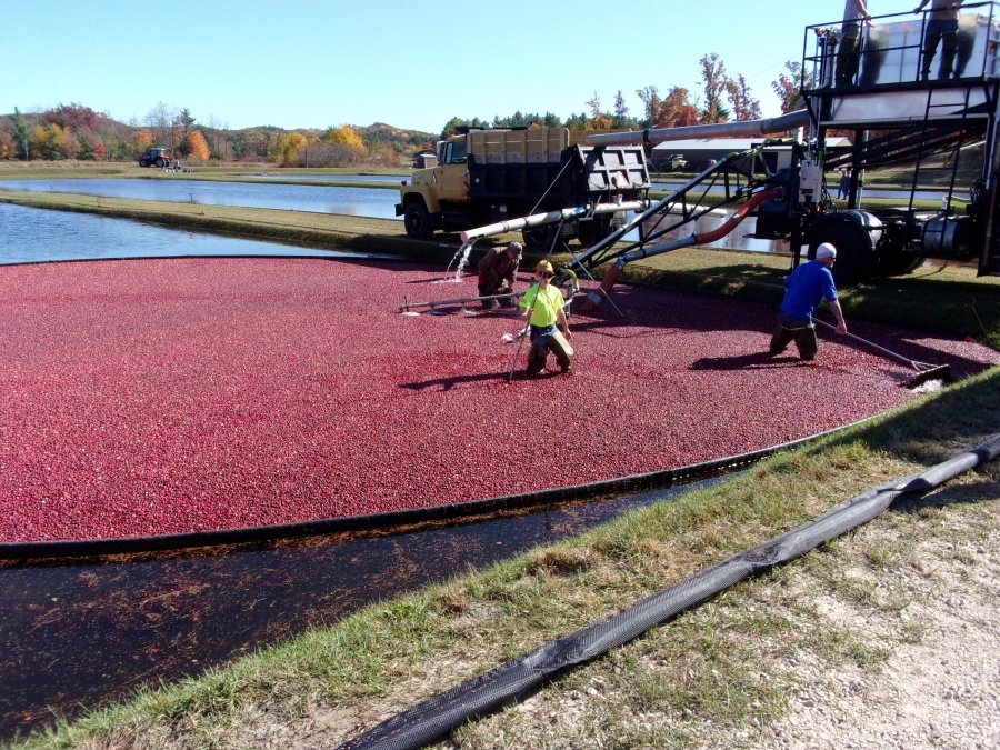 Texas Boom Company Cranberry Containment Boom