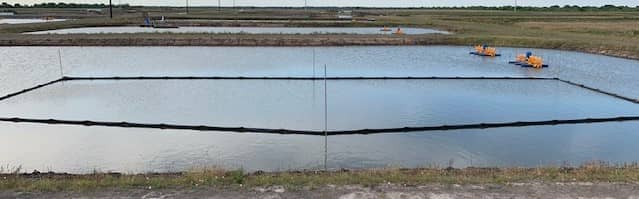 Texas Fish Farm 3