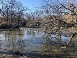 containment boom for duckeweed control a