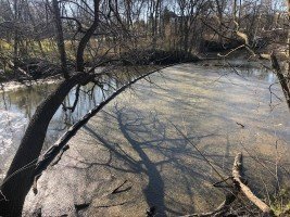 containment boom for duckeweed control b