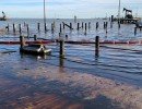 tbc oil containment boom and skimmer deployment   tabbs bay