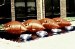 Collapsible Fabric Bladder Tanks (Pillow Tanks)